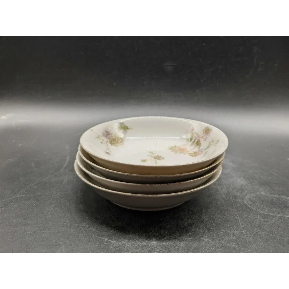 Antique C.F. Haviland Limoges GDA France Floral Berry Dessert Bowls Set of 4 5